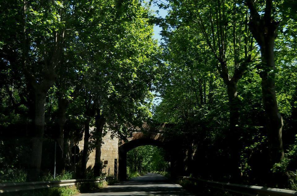 Agriturismo Casale Re Sonnino 客房 照片