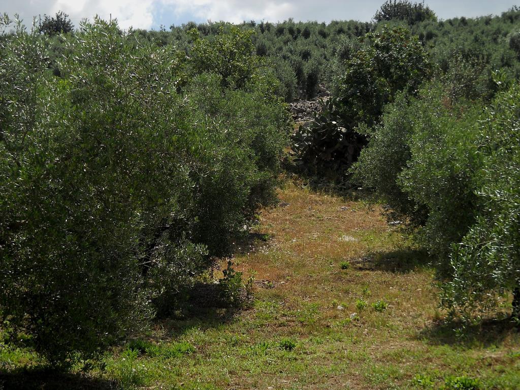 Agriturismo Casale Re Sonnino 客房 照片